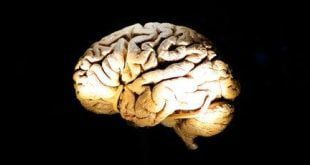 Estímulo elétrico do cérebro pode alterar sonhos, garante estudo