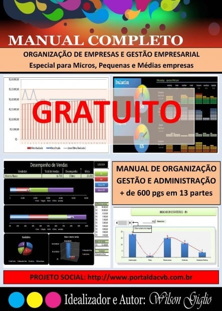 MANUAL DE ORGANIZAÇÃO DE EMPRESAS E GESTÃO EMPRESARIAL – GRATUITO 