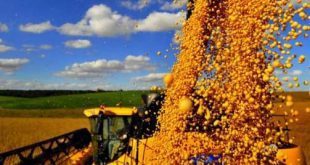 Brasil pode assumir liderança mundial na agricultura