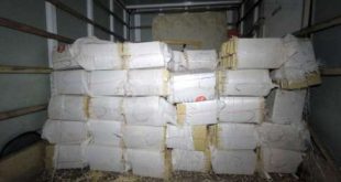 Brasil - Polícia encontra 2 t de maconha em barracão da Gaviões da Fiel em São Paulo