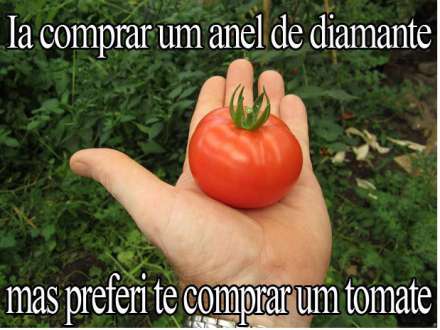 Brasil - Com preço alto do tomate, ladrões assaltam plantações no Paraná