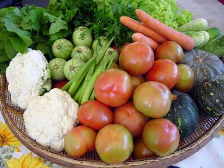 Norte de Minas - Estado incentiva difusão da agroecologia no Norte de Minas