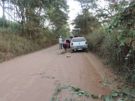 MG - Motorista fica ferido em acidente na estrada entre Peçanha e Coroaci