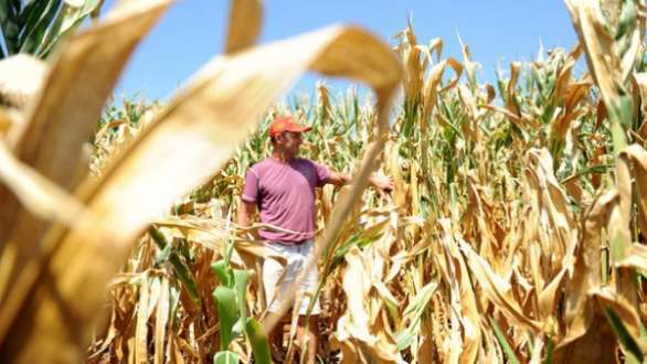 Norte de Minas - Seca provoca provoca prejuízos à economia dos municípios do Norte de Minas