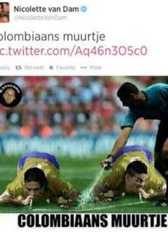 Montagem postada pela embaixadora em sua conta no Twitter