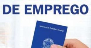 Emprego - Alma Viva abre quase 900 oportunidades de emprego em Minas