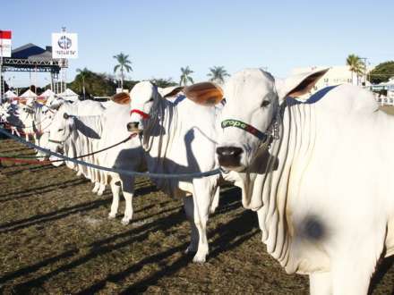 Norte de Minas - Expomontes fomenta agronegócio no Norte de Minas