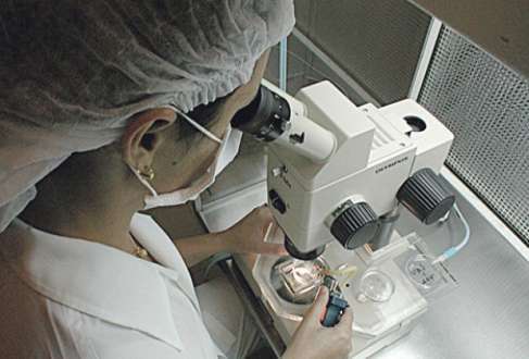 Ao longo do ano, foram registrados 24.147 ciclos de fertilização in vitro e 5.131 embriões foram doados para pesquisas com células-tronco embrionárias