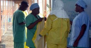 OMS tem discutido a utilização de remédios ainda não aprovados como forma de combater o surto de ebola na África