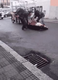 O animal que puxava o veículo não aguentou subir o morro e caiu, ficando por alguns minutos estendido no chão