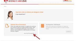 MG - Delegacia virtual também terá registro de pessoas desaparecidas