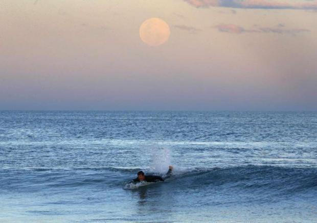 Um surfista rema e a superlua é vista à beira-mar no subúrbio Wanda, em Sydney. O evento astronômico Superlua ocorre quando a Lua está mais próxima da Terra em sua órbita, fazendo com que pareça muito maior e mais brilhante do que o habitual (Foto: Reuters)