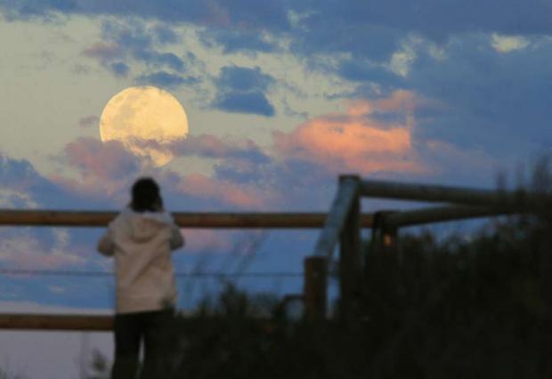 Uma moradora da cidade australiana de Sydney observa a Superlua à beira-mar (Foto: Reuters)