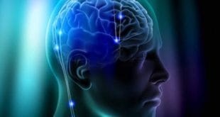 Aprender outros idiomas, assistir videoaulas e obter novos aprendizados podem ser feitos pela internet, de forma gratuita; veja algumas dicas e exercite seu cérebro