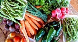 Montes Claros - Município adquire alimentos de pequenos agricultores para a merenda escolar
