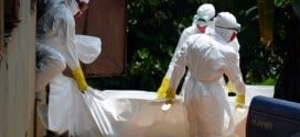 A OMS vem monitorando o número de casos de ebola desde o início da epidemia.