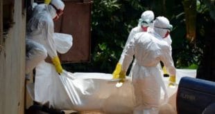 A OMS vem monitorando o número de casos de ebola desde o início da epidemia.