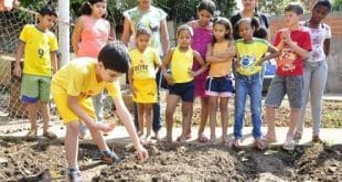 Montes Claros - Crianças aprendem a cultivar hortas orgânicas‏