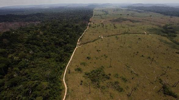 Agricultura causa 49% do desmatamento tropical, diz ONG