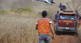Montes Claros – Incêndio destrói 20 hectares do parque estadual Lapa Grandre