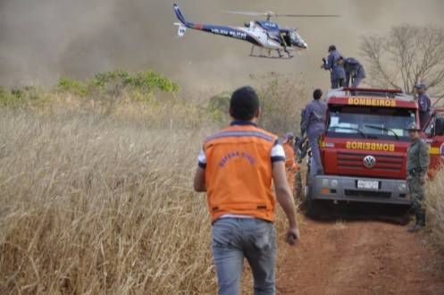 Montes Claros - Incêndio destrói 20 hectares do parque estadual Lapa Grandre