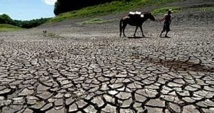 Mudanças climáticas afetam saúde mental das pessoas