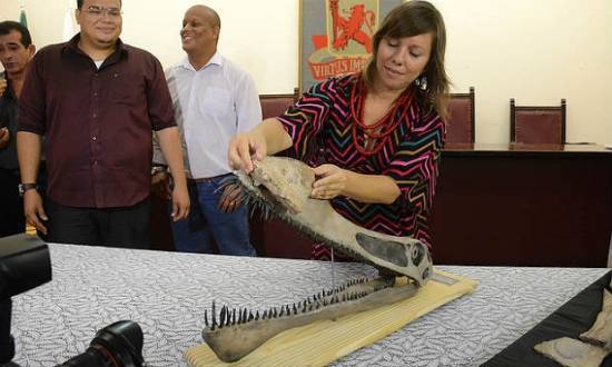 O fóssil foi encontrado no Sítio São Gonçalo, no município de Santana do Cariri (CE)