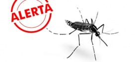 Brasil - Minas Gerais é o terceiro estado a registrar casos de transmissão da febre chikungunya