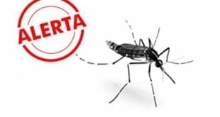 Brasil - Minas Gerais é o terceiro estado a registrar casos de transmissão da febre chikungunya