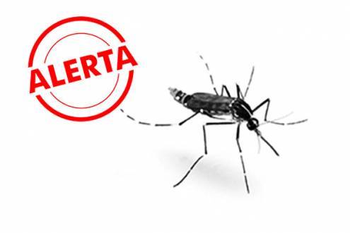 Brasil - Minas Gerais é o terceiro estado a registrar casos de transmissão da febre chikungunya