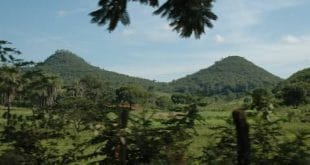 Montes Claros - Município autoriza repasse a entidades que realizam trabalho de preservação do meio ambiente
