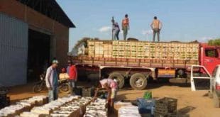 Norrte de Minas - PNAE ajuda produtores do Jaíba na comercialização de produtos em Belo Horizonte