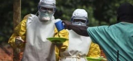 África - OMS declara a Nigéria livre do ebola