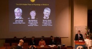 O premio, de cerca de 881 mil euros, será dividido em duas partes.