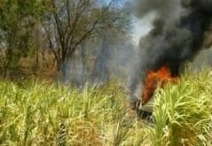 Depois da colisão, o coletivo, que transportava romeiros, caiu em uma ribanceira e pegou fogo.