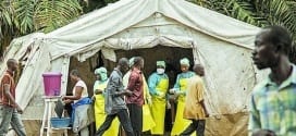 África - Ebola já deixou pelo menos 3.700 crianças órfãs, diz Unicef