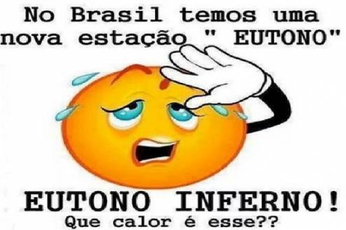 image (4)