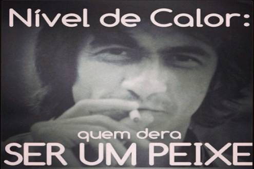 image (8)