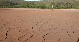 MG - Seca deixa 160 municípios em situação de emergência