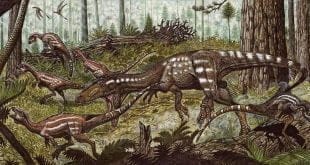 Cientistas descobrem na Venezuela nova espécie de dinossauro