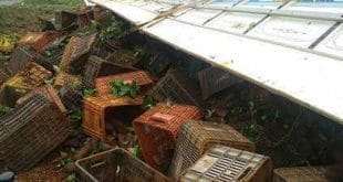 Norte de Minas - Tombamento de caminhão deixa um morto em Olhos D'água