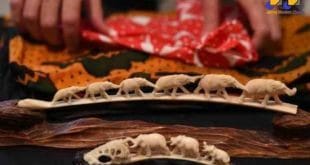 Esta é a primeira operação da Interpol visando indivíduos procurados por delitos contra o meio ambiente, como o tráfico de Marfim