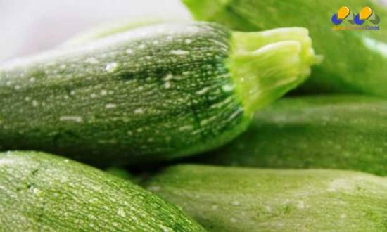 Saúde - Abobrinha é o alimento com mais resíduos de agrotóxicos