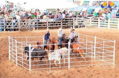 Team Penning - Foto: Solon Queiroz