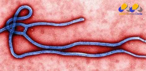 África - Ebola causou 5.420 mortes, afirma OMS