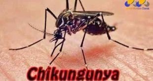 MG - Secretaria de Estado de Saúde descarta doze casos de chikungunya