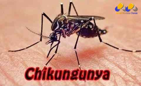 MG - Secretaria de Estado de Saúde descarta doze casos de chikungunya