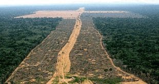Brasil - Em dois meses o desmatamento na Amazônia cresce 122%