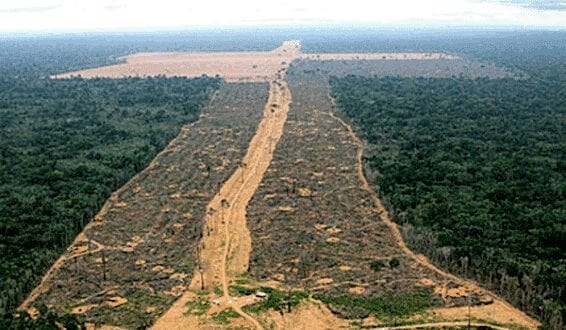 Brasil - Em dois meses o desmatamento na Amazônia cresce 122%