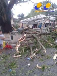 MG - Temporal de chuva provoca estragos na cidade de Resende Costa